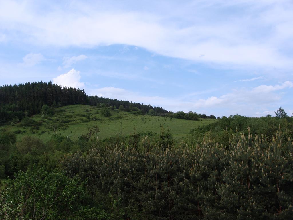 Angel Apartment Krynica-Zdrój Zewnętrze zdjęcie