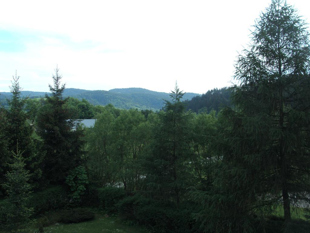 Angel Apartment Krynica-Zdrój Zewnętrze zdjęcie